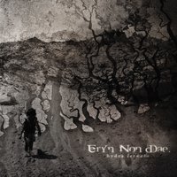 Through Dark Skies - Eryn Non Dae.