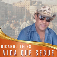 Vida Que Segue - Ricardo Teles