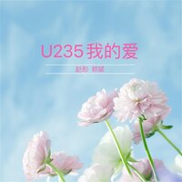 南半球的夜空 - 赵彤 & 郑斌