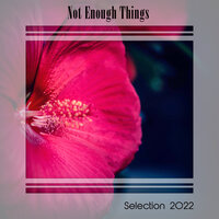 NOT ENOUGH THINGS SELECTION 2022