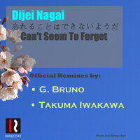Can't Seem To Forget - Dijei Nagai & G.Bruno