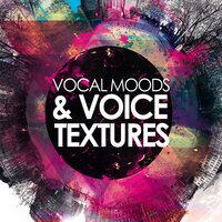 Moody Country Folk Vocal Atmosphere - Bobby Cole