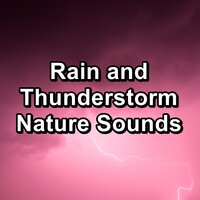 Noise of Rain Showers on Trees with Thunder - Nature Sounds & Relaxing Music Therapy & Rain Sound Studio