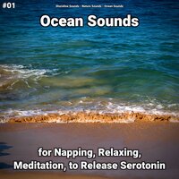 Ocean Sounds Part 28 - shoreline sounds & Nature Sounds & Ocean Sounds