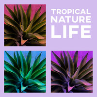 Tropical Birds - Close to Nature Music Ensemble
