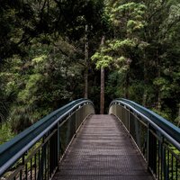 40 Mindful Sounds for Peace and Calm