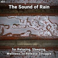 Revitalising Ambient - Rain for Deep Sleep & Rain Sounds & Nature Sounds