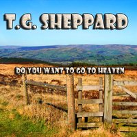 Last Cheaters Waltz - T.G. Sheppard