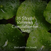 35 Stress Relieving Compilation for Sleep