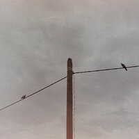 Dreamtime - 12k22