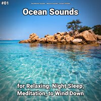 Ocean Sounds Pt. 53 - Sea Waves Sounds & Nature Sounds & Ocean Sounds