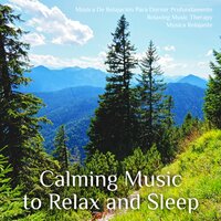 Relieving Path - Relaxing Music Therapy & Musica relajante & Música De Relajación Para Dormir Profundamente