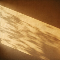 Senses (Forest) - Juna