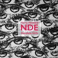 The Lake - Harry Howard and the NDE