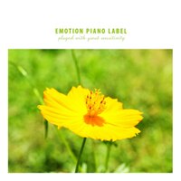 A cute little piano collection for preachers