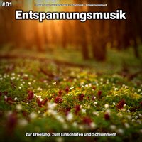 Komposition für Meditation - Entspannungsmusik & Schlafmusik & Entspannungsmusik Lilly Hanck