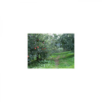 Save & Concentration - Mindfulness Healing BGM Project