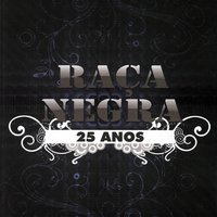Vida Cigana - Raça Negra