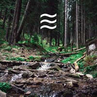 Nature Forest Smooth Sounds for Babies Relief