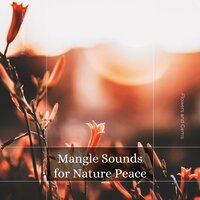 Mangle Sounds For Nature Peace