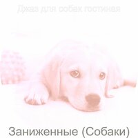 Чувство (Выгул собак) - Джаз для собак гостиная
