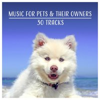 Soothe the Animals - Calm Pets Music Academy