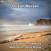 Ocean Noises Part 39 - shoreline sounds & Nature Sounds & Ocean Sounds