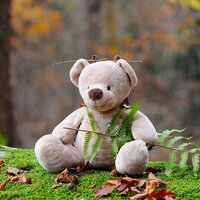 Good Night - Yoga Para Ninos & Sleep Baby Sleep & Schlaflieder Für Kinder