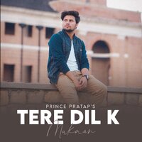 Tere Dil K Makaan - Prince Jadon