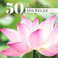 Massage Therapy and Healing Song - Spa Music Collection