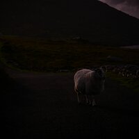 Exploding - nøave