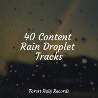 40 Content Rain Droplet Tracks