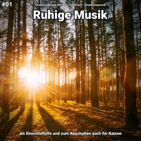 Ruhige Musik pt. 14 - Entspannungsmusik Willi Antz & Schlafmusik & Entspannungsmusik