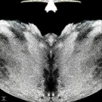 angel choir - nowordcdx