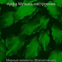 Мирные моменты (Впечатление)