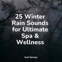Soft Window Rains - Exam Study Classical Music Orchestra & Relaxamento & Rain Sounds XLE Library
