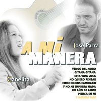 A mi Manera - Flamenco Version