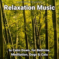 Relaxation Music, Pt. 14 - Relaxing Music by Vince Villin & Yoga & Relaxing Spa Music