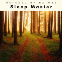 1 Sleep Master