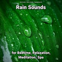 Rain Sounds for Bedtime and Relaxation Pt. 22 - Nature Sounds & Rain Sounds & Regengeräusche