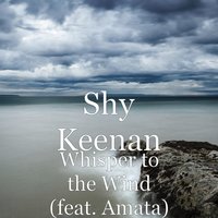Whisper to the Wind (feat. Amata) - Shy Keenan