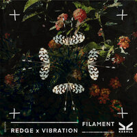 Filament - Redge & Vibration