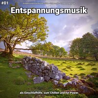 Ruhige Musik für Meditation - Entspannungsmusik Nicklas Schul & Schlafmusik & Entspannungsmusik
