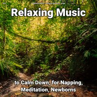 Relaxing Music Pt. 41 - Meditation Music & Relaxing Spa Music & Yoga