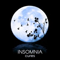 Lucid Dream - Stages of Sleep Music Universe