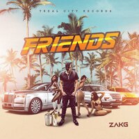 Friends - ZakG