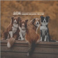 Absolutely Amazing Dog Music for a Nap