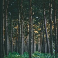 Chillout Music to Sleep Focus