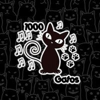 1000 Gatos