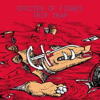 [Backspace] - Species Of Fishes